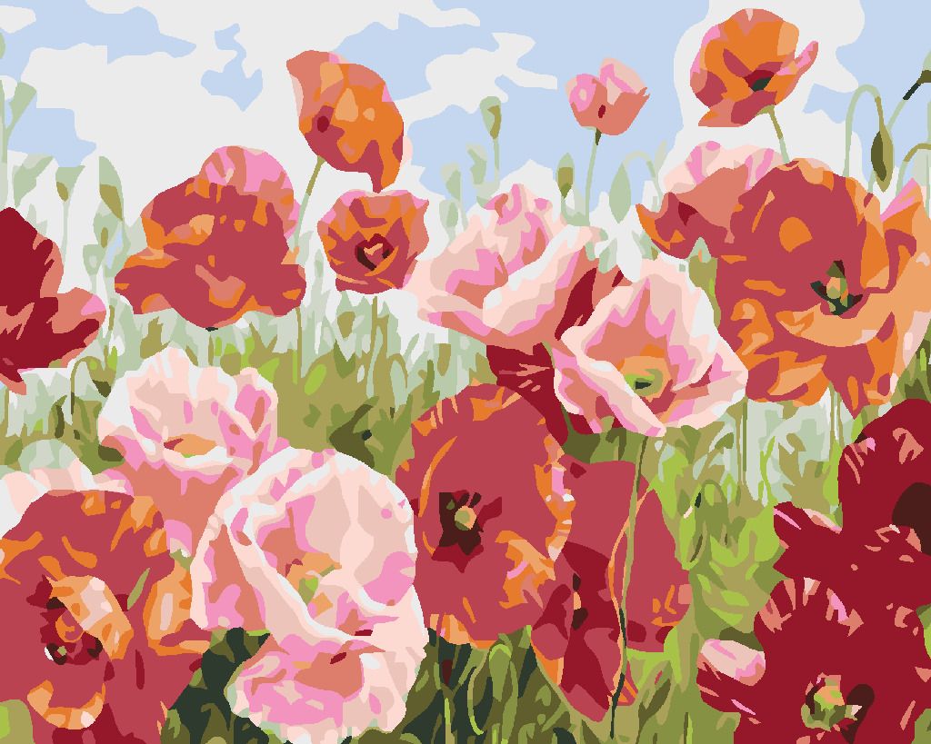 zuty Malování podle čísel - VLČÍ MÁKY V MNOHA ODSTÍNECH - Rozměr: 40x50 cm, Rámování: Varianta: vypnuté plátno na rám - obrázek 9