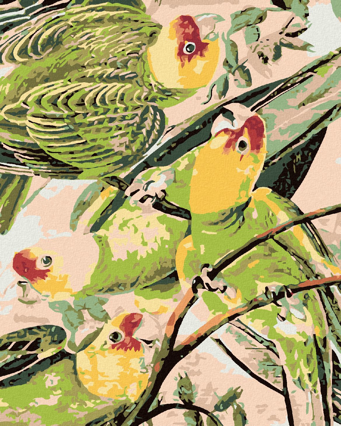 zuty Malování podle čísel - PAPOUŠCI NA VĚTVIČCE - Rozměr: 40x50 cm, Rámování: Varianta: bez rámu a bez vypnutí plátna - obrázek 1