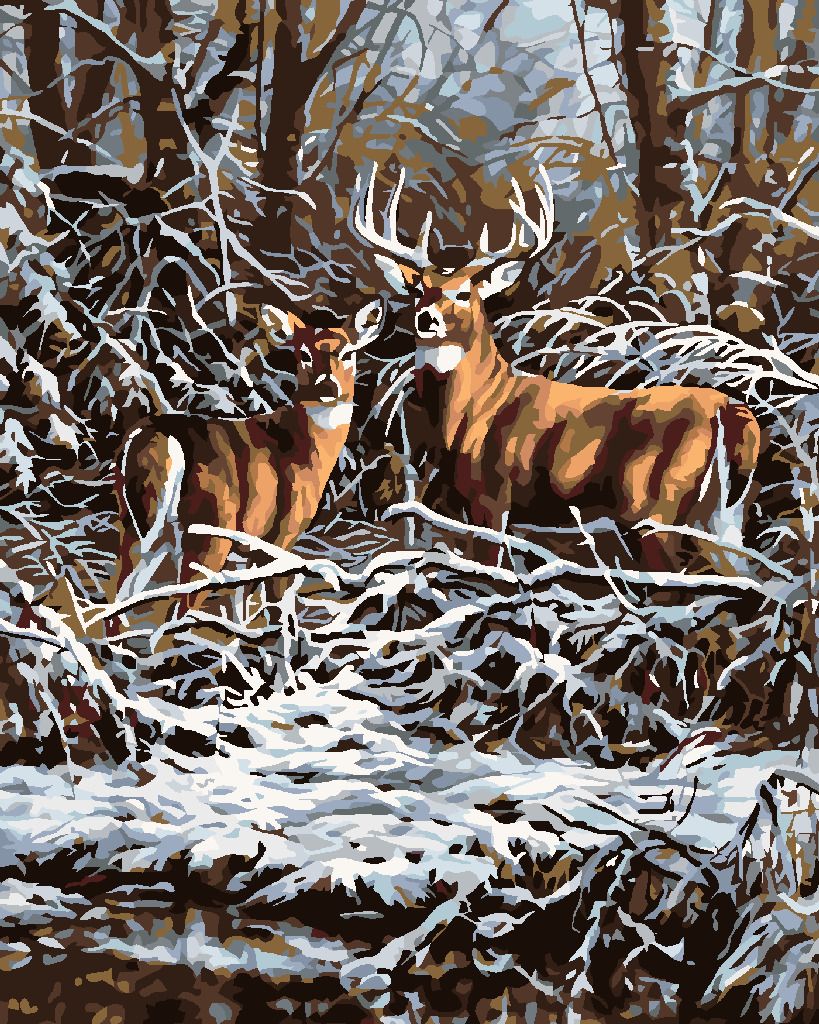 zuty Malování podle čísel - JELEN S LANÍ V ROŠTÍ - Rozměr: 40x50 cm, Rámování: Varianta: bez rámu a bez vypnutí plátna - obrázek 7