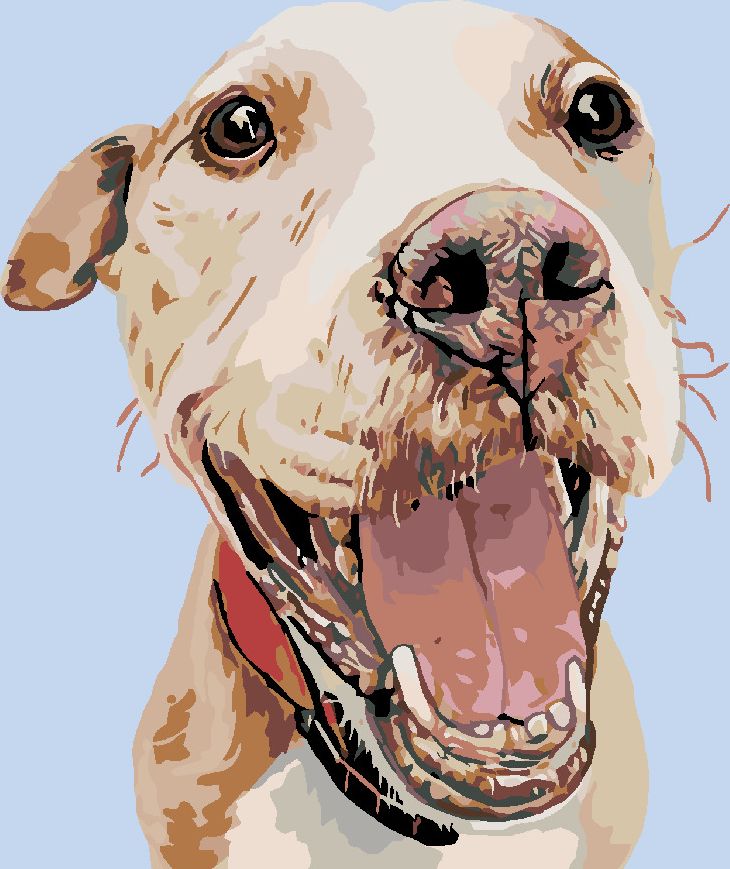 zuty Malování podle čísel - ŠŤASTNÝ HAFAN - Rozměr: 40x50 cm, Rámování: Varianta: bez rámu a bez vypnutí plátna - obrázek 16