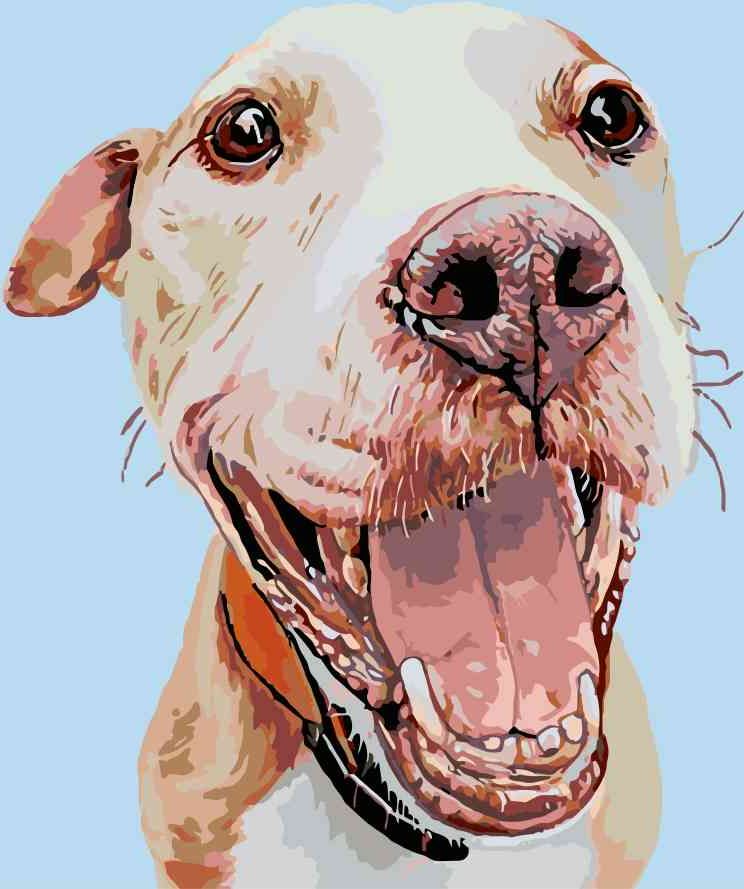 zuty Malování podle čísel - ŠŤASTNÝ HAFAN - Rozměr: 40x50 cm, Rámování: Varianta: bez rámu a bez vypnutí plátna - obrázek 17