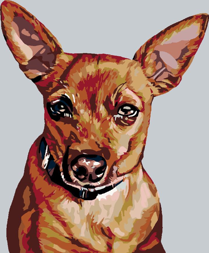 zuty Malování podle čísel - TRPASLIČÍ PINČ - Rozměr: 40x50 cm, Rámování: Varianta: bez rámu a bez vypnutí plátna - obrázek 7