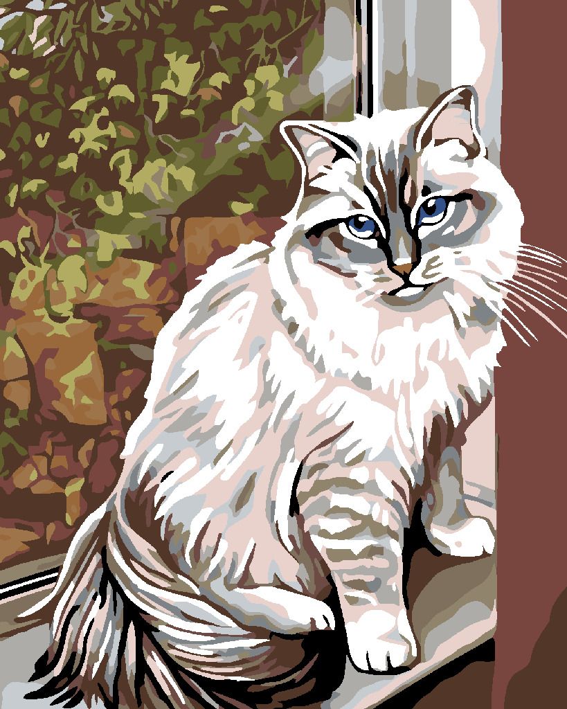 zuty Malování podle čísel - BÍLÁ KOČKA V OKNĚ - Rozměr: 40x50 cm, Rámování: Varianta: vypnuté plátno na rám - obrázek 6