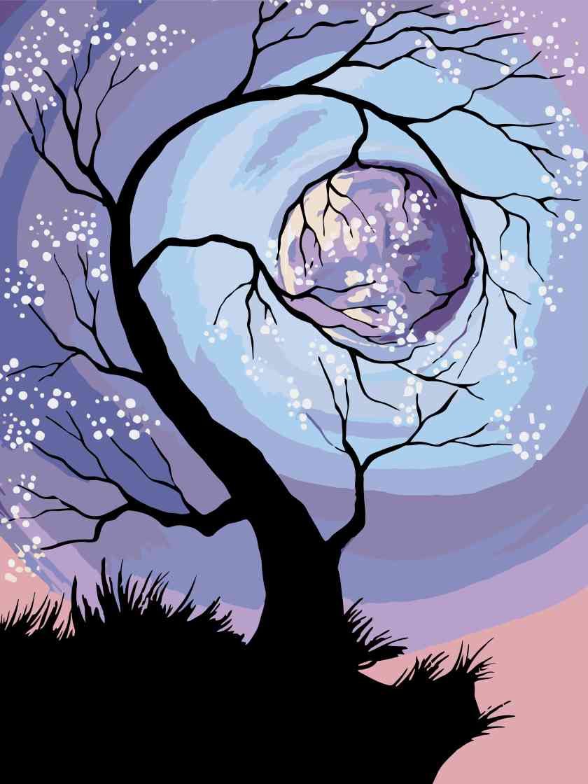 zuty Malování podle čísel - STROM V ÚPLŇKOVÉ MOCI - Rozměr: 40x50 cm, Rámování: Varianta: vypnuté plátno na rám - obrázek 13