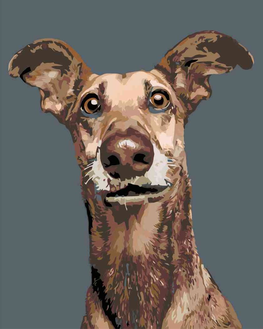 zuty Malování podle čísel - PES S NASTRAŽENÝMA UŠIMA - Rozměr: 40x50 cm, Rámování: Varianta: vypnuté plátno na rám - obrázek 11