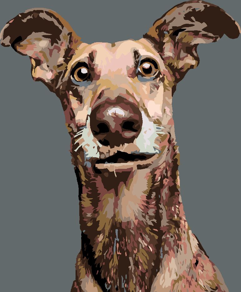 zuty Malování podle čísel - PES S NASTRAŽENÝMA UŠIMA - Rozměr: 40x50 cm, Rámování: Varianta: vypnuté plátno na rám - obrázek 12