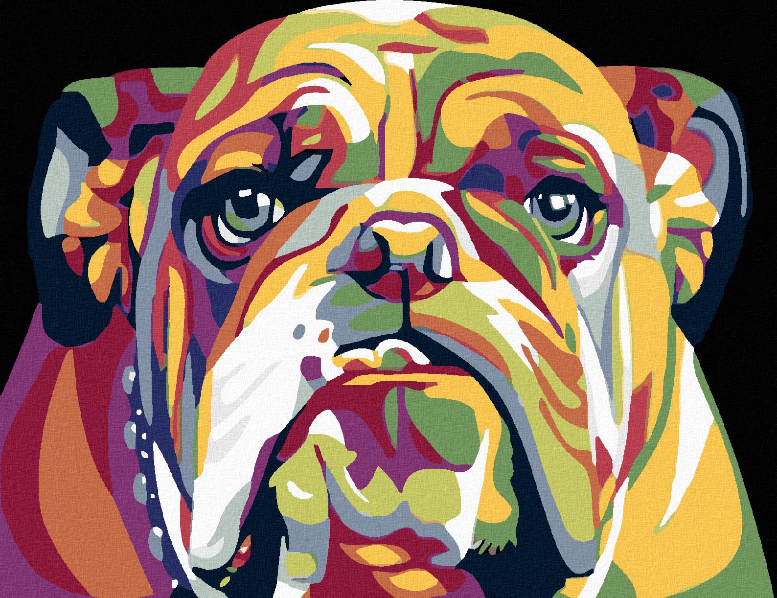 zuty Malování podle čísel - BULDOG - Rozměr: 40x50 cm, Rámování: Varianta: bez rámu a bez vypnutí plátna - obrázek 1