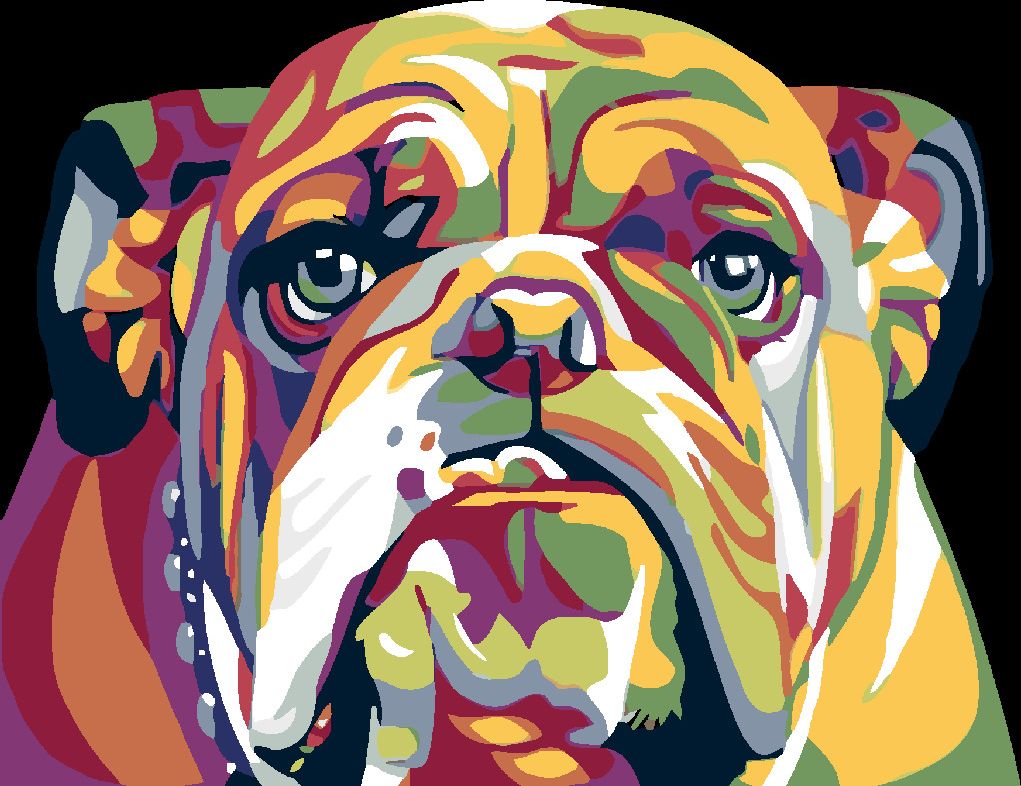 zuty Malování podle čísel - BULDOG - Rozměr: 40x50 cm, Rámování: Varianta: vypnuté plátno na rám - obrázek 7