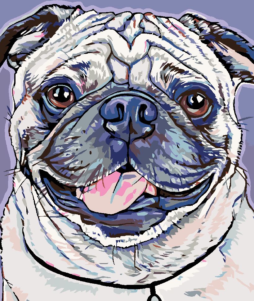 zuty Malování podle čísel - MOPSÍK - Rozměr: 40x50 cm, Rámování: Varianta: vypnuté plátno na rám - obrázek 6