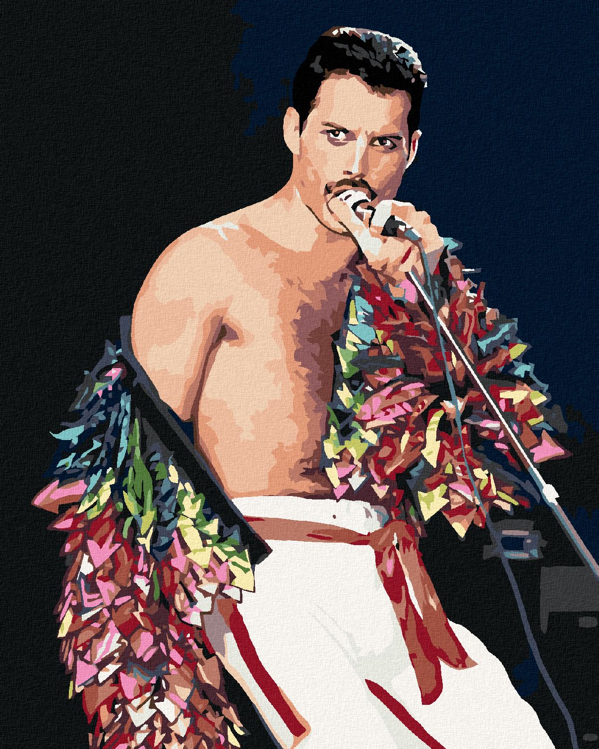 zuty Malování podle čísel - FREDDIE MERCURY - Rozměr: 40x50 cm, Rámování: Varianta: vypnuté plátno na rám - obrázek 1