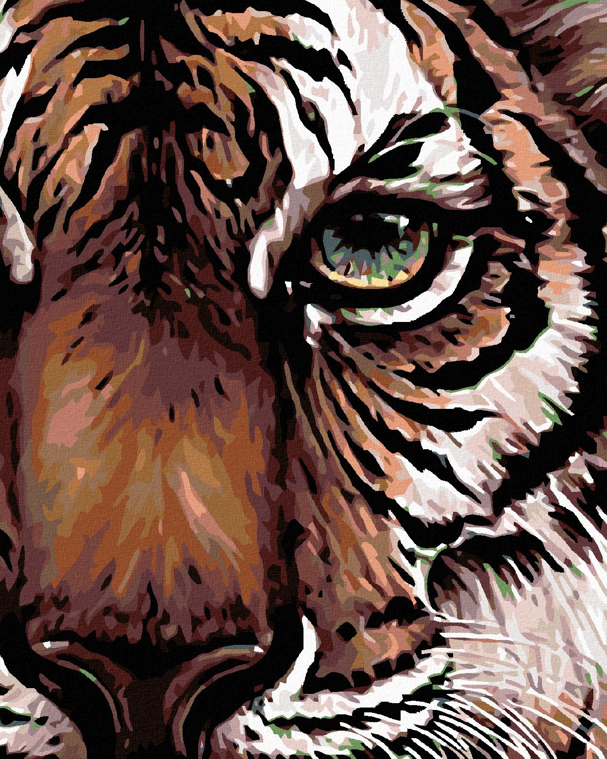 zuty Malování podle čísel - POHLED TYGRA - Rozměr: 40x50 cm, Rámování: Varianta: bez rámu a bez vypnutí plátna - obrázek 1