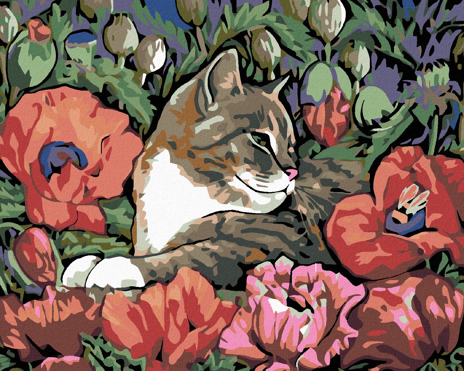 zuty Malování podle čísel - KOTĚ A VLČÍ MÁK - Rozměr: 40x50 cm, Rámování: Varianta: bez rámu a bez vypnutí plátna - obrázek 1