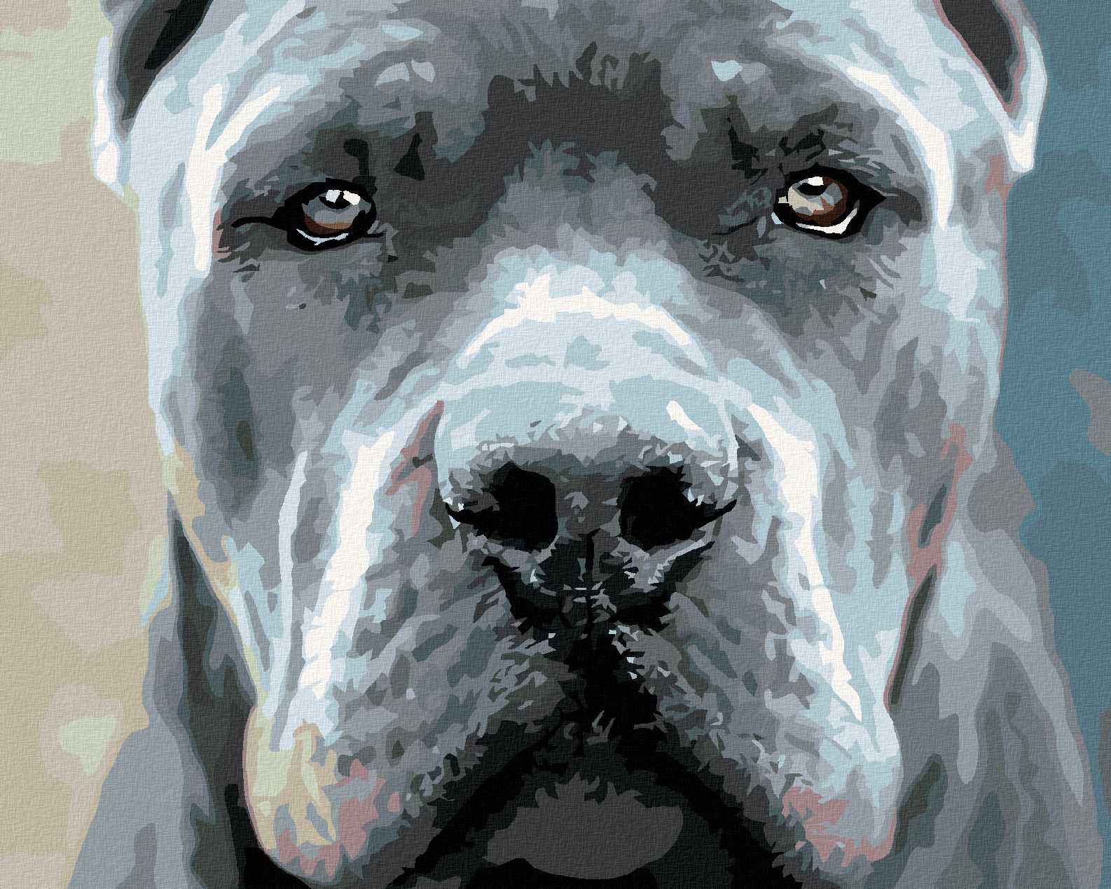 zuty Malování podle čísel - CANE CORSO - Rozměr: 40x50 cm, Rámování: Varianta: vypnuté plátno na rám - obrázek 1