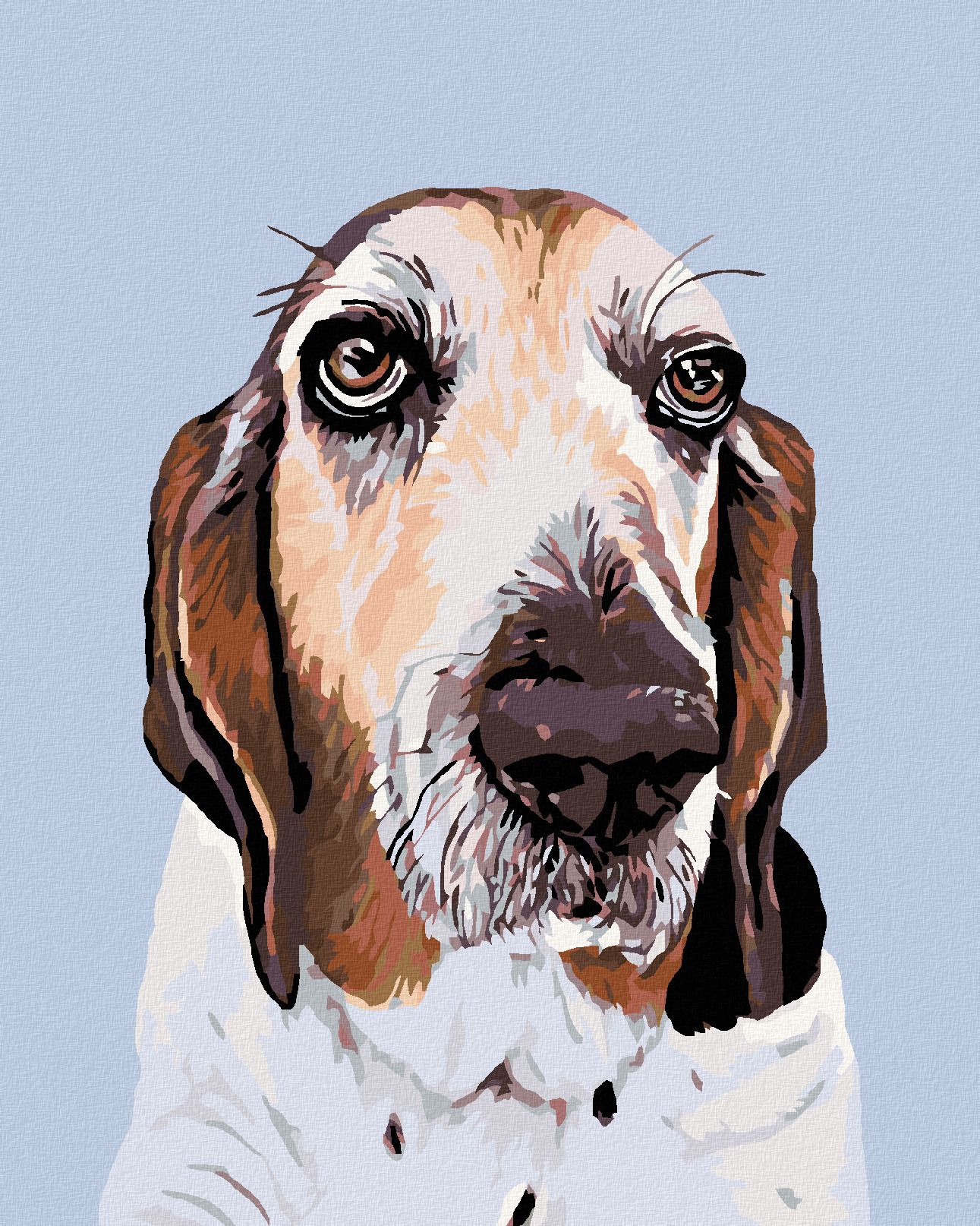zuty Malování podle čísel - BASET - Rozměr: 40x50 cm, Rámování: Varianta: bez rámu a bez vypnutí plátna - obrázek 1