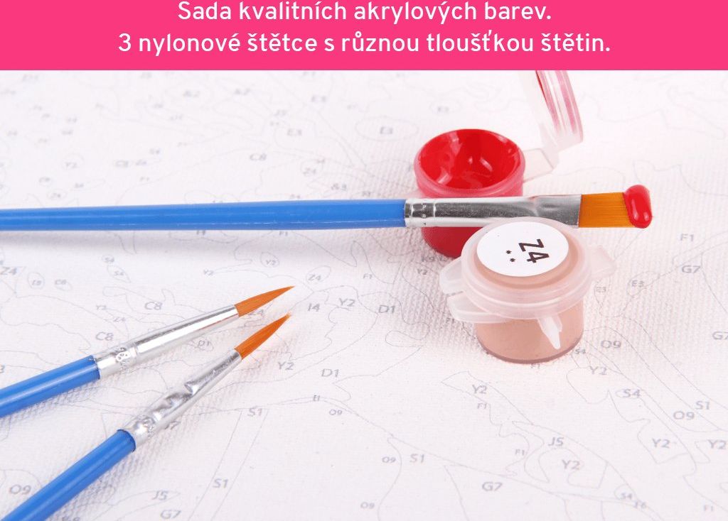 zuty Malování podle čísel - MILENCI SE PSEM U EIFFELOVKY - Rozměr: 40x50 cm, Rámování: Varianta: bez rámu a bez vypnutí plátna - obrázek 9
