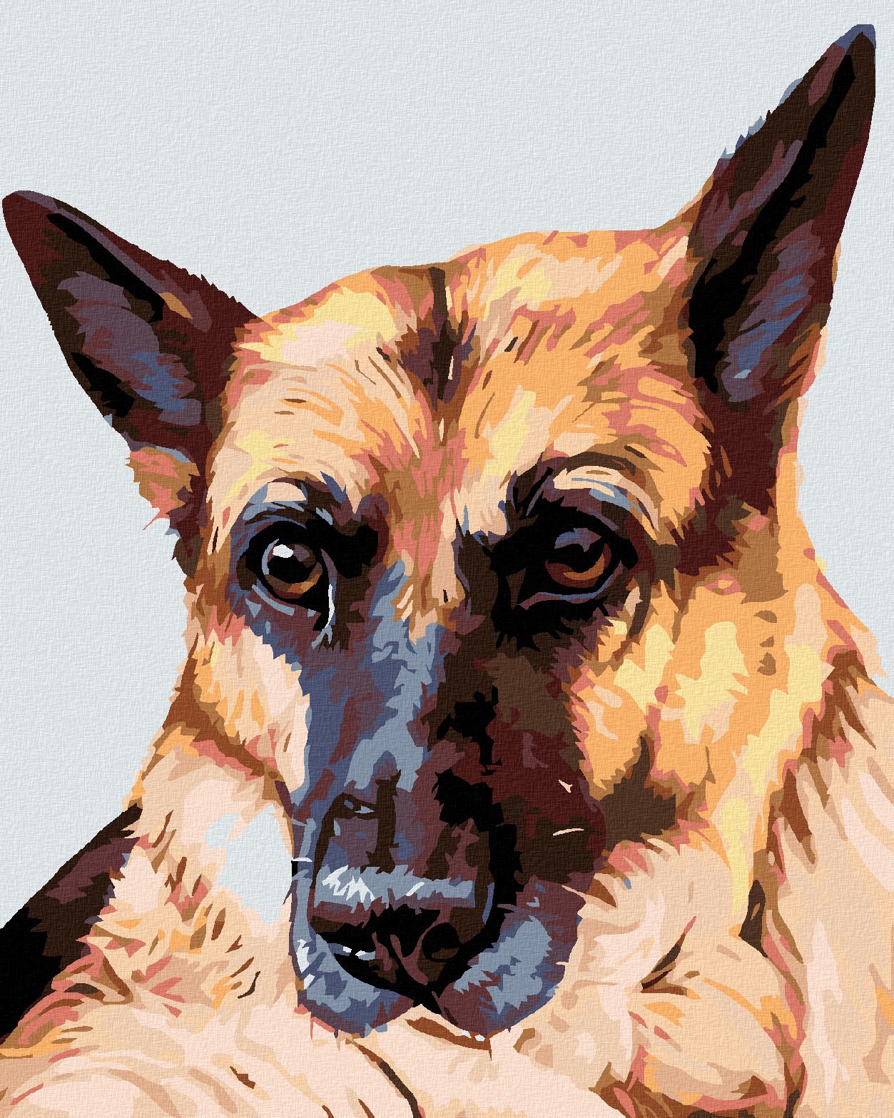 zuty Malování podle čísel - VLČÁK - Rozměr: 40x50 cm, Rámování: Varianta: bez rámu a bez vypnutí plátna - obrázek 1