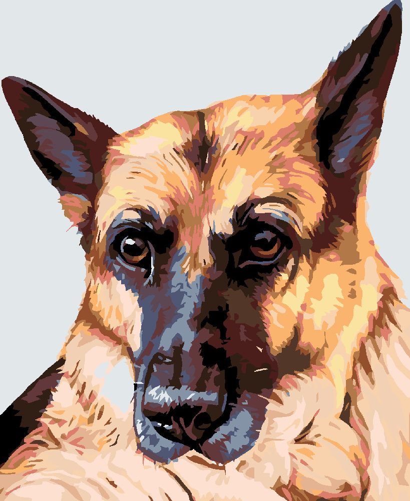 zuty Malování podle čísel - VLČÁK - Rozměr: 40x50 cm, Rámování: Varianta: bez rámu a bez vypnutí plátna - obrázek 4