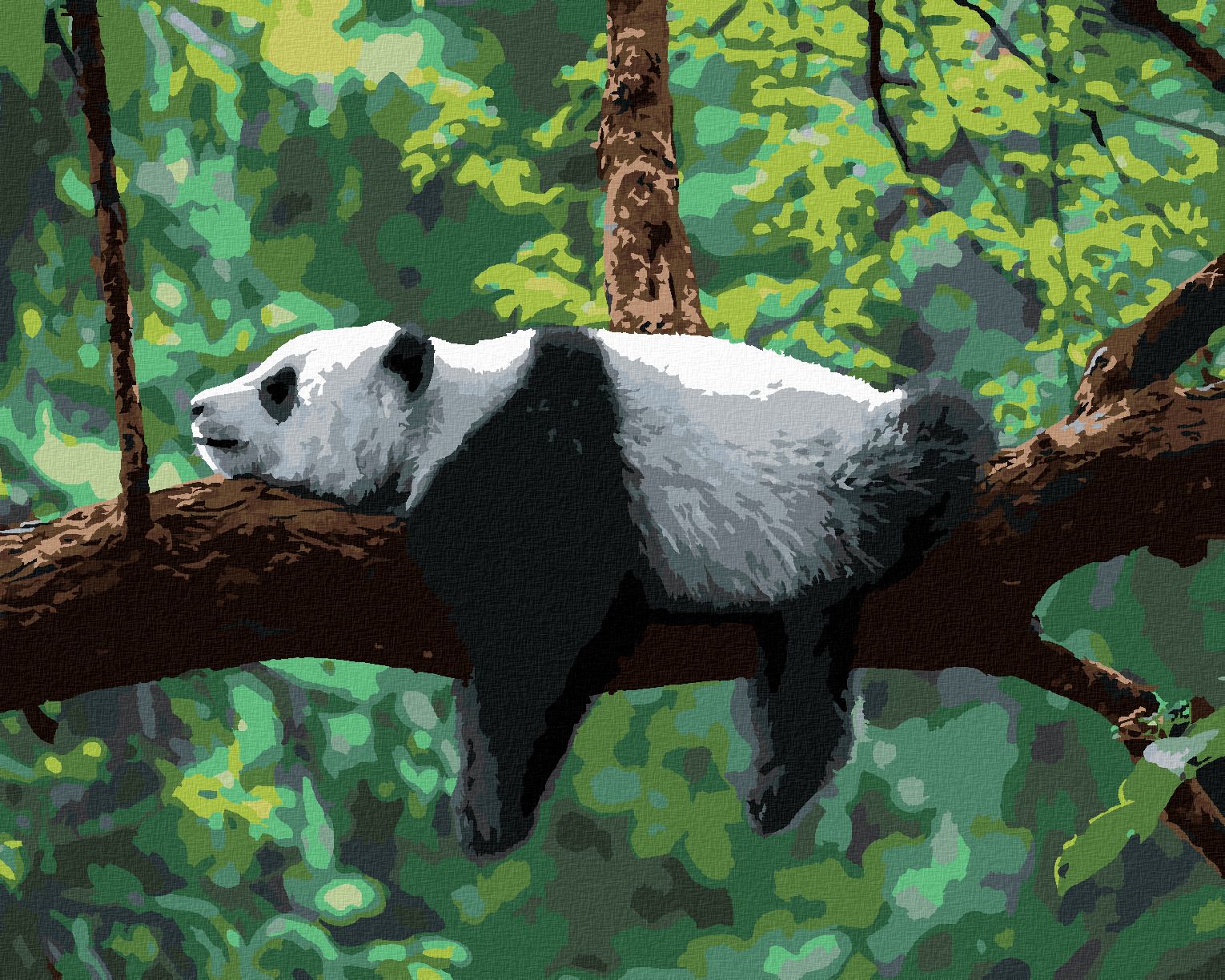 zuty Malování podle čísel - PANDA LEŽÍCÍ NA STROMĚ - Rozměr: 40x50 cm, Rámování: Varianta: bez rámu a bez vypnutí plátna - obrázek 1