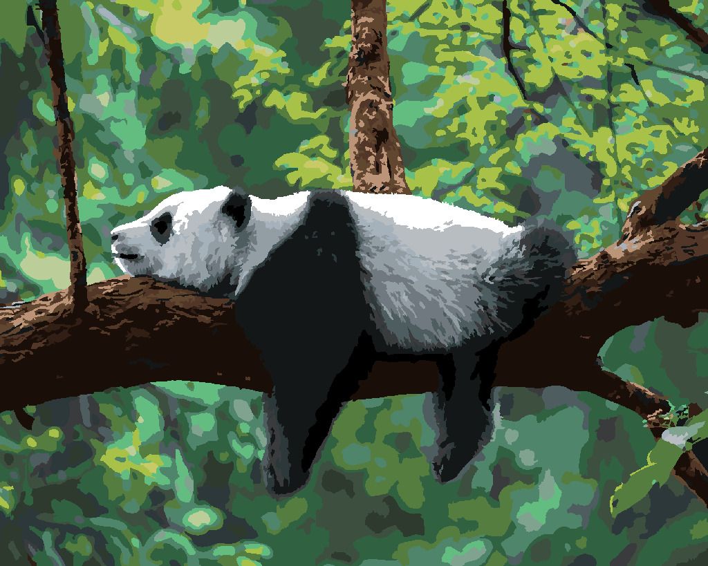 zuty Malování podle čísel - PANDA LEŽÍCÍ NA STROMĚ - Rozměr: 40x50 cm, Rámování: Varianta: bez rámu a bez vypnutí plátna - obrázek 6