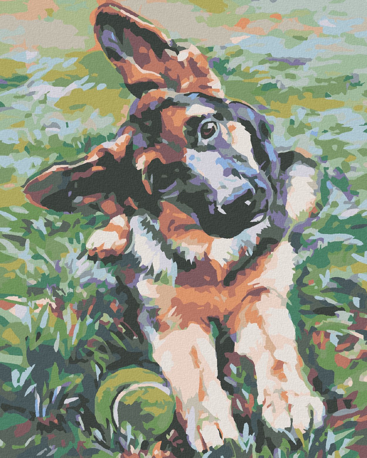 zuty Malování podle čísel - ŠTĚNĚ OVČÁKA - Rozměr: 40x50 cm, Rámování: Varianta: vypnuté plátno na rám - obrázek 1