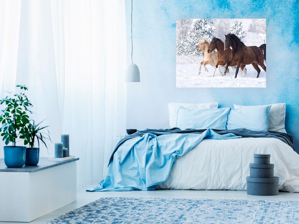 zuty Malování podle čísel - KONĚ VE SNĚHU - Rozměr: 40x50 cm, Rámování: Varianta: bez rámu a bez vypnutí plátna - obrázek 19