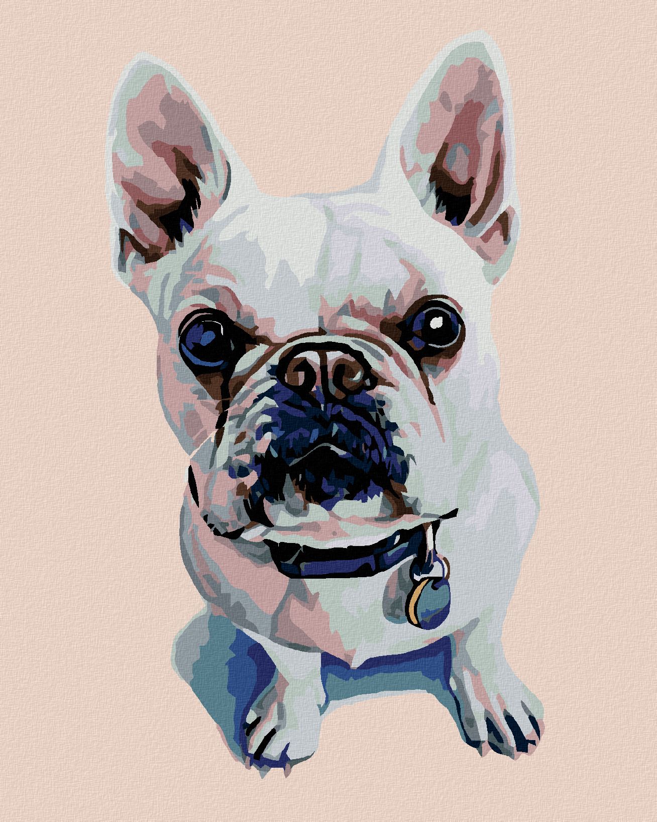 zuty Malování podle čísel - BÍLÝ BULDOČEK S MODRÝM OBOJKEM - Rozměr: 40x50 cm, Rámování: Varianta: bez rámu a bez vypnutí plátna - obrázek 1