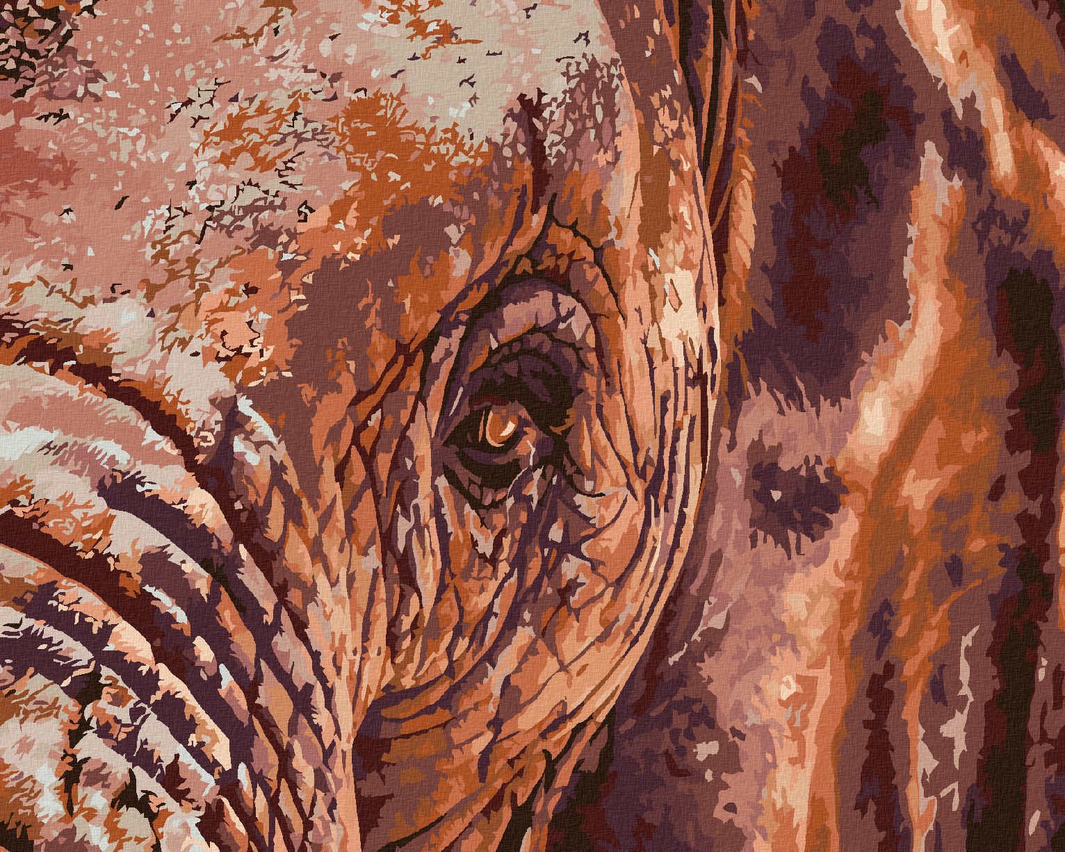 zuty Malování podle čísel - SLONÍ POHLED - Rozměr: 40x50 cm, Rámování: Varianta: vypnuté plátno na rám - obrázek 1