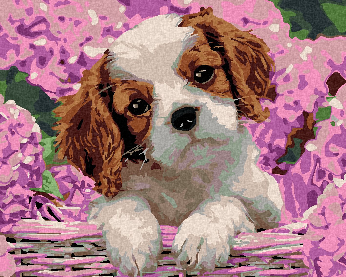 zuty Malování podle čísel - ŠTĚŇÁTKO A HORTENZIE - Rozměr: 40x50 cm, Rámování: Varianta: vypnuté plátno na rám - obrázek 1