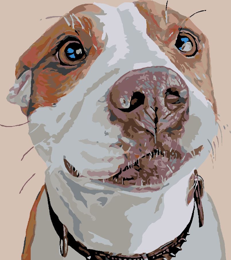 zuty Malování podle čísel - ČEKAJÍCÍ PES - Rozměr: 40x50 cm, Rámování: Varianta: bez rámu a bez vypnutí plátna - obrázek 3