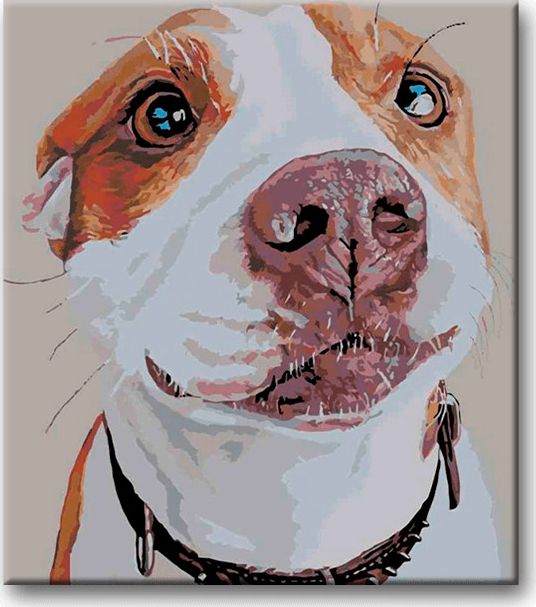 zuty Malování podle čísel - ČEKAJÍCÍ PES - Rozměr: 40x50 cm, Rámování: Varianta: bez rámu a bez vypnutí plátna - obrázek 12