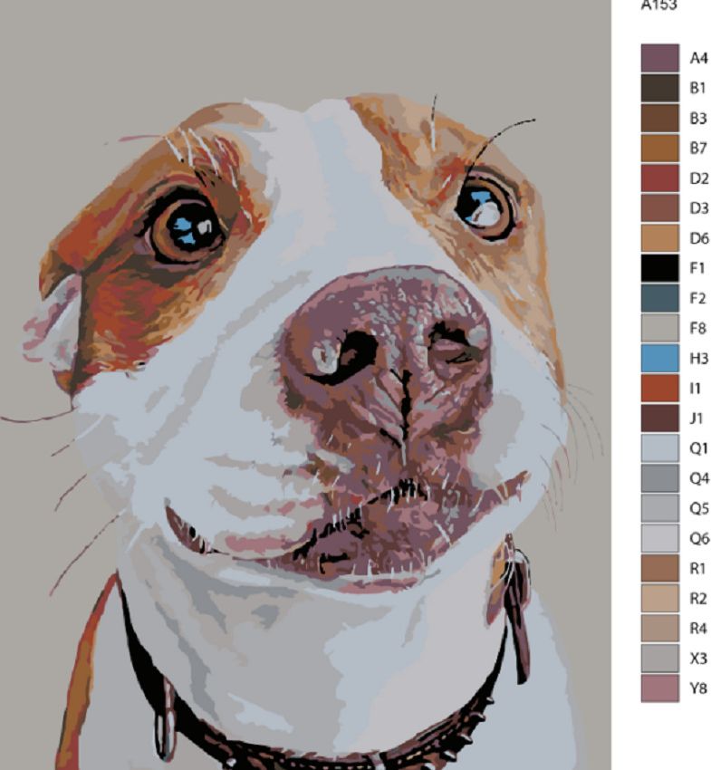 zuty Malování podle čísel - ČEKAJÍCÍ PES - Rozměr: 40x50 cm, Rámování: Varianta: vypnuté plátno na rám - obrázek 14