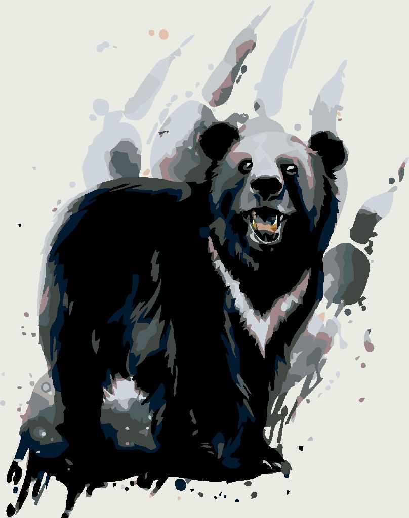 zuty Malování podle čísel - MEDVĚD BARIBAL - Rozměr: 40x50 cm, Rámování: Varianta: vypnuté plátno na rám - obrázek 5