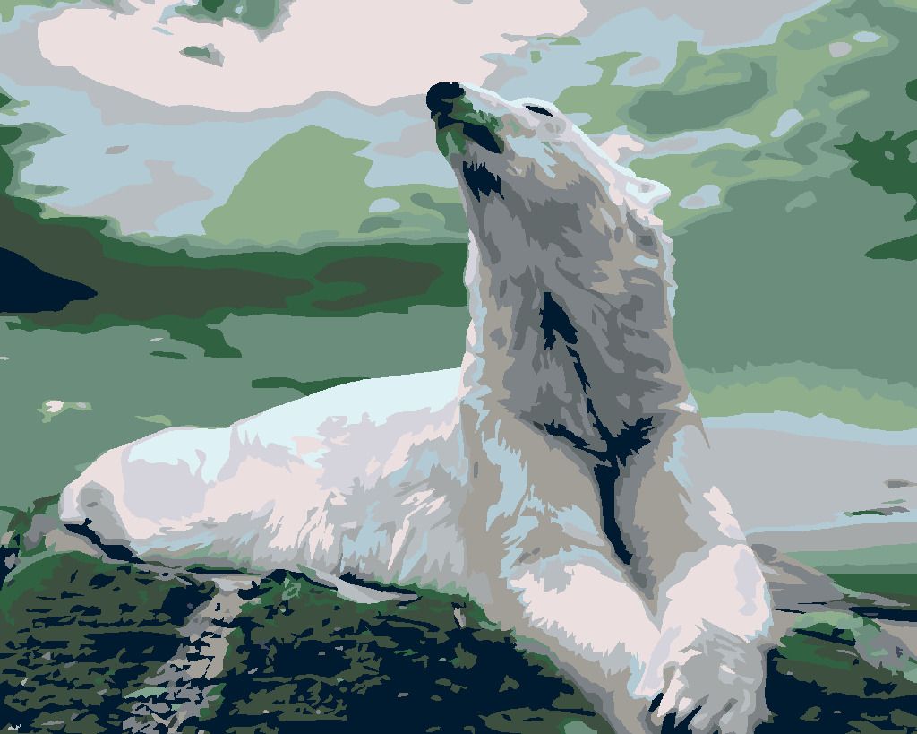 zuty Malování podle čísel - LEDNÍ MEDVĚD - Rozměr: 40x50 cm, Rámování: Varianta: vypnuté plátno na rám - obrázek 5