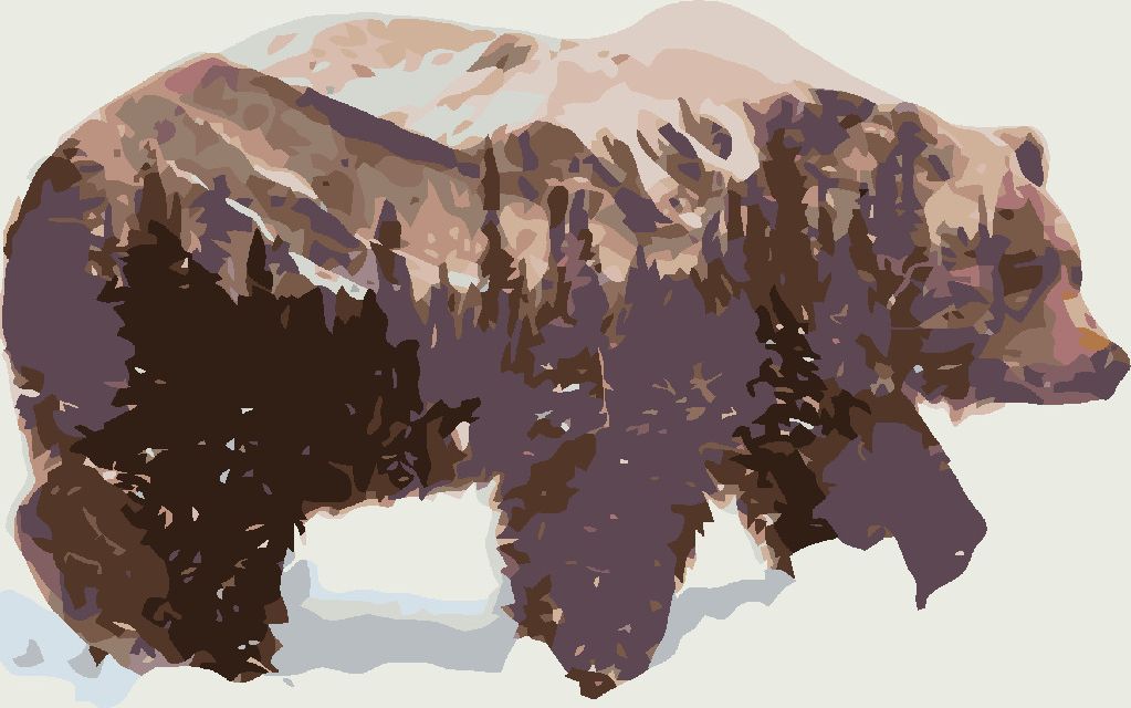 zuty Malování podle čísel - MEDVĚD - Rozměr: 40x50 cm, Rámování: Varianta: vypnuté plátno na rám - obrázek 2