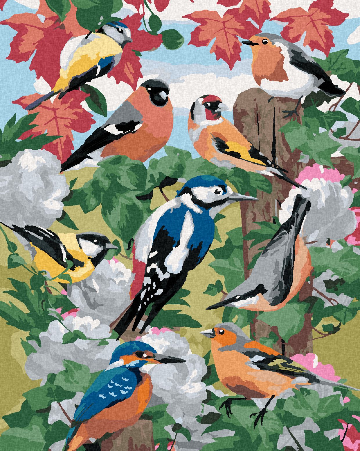 zuty Malování podle čísel - PTÁCI A BÍLÉ KVĚTINY (HOWARD ROBINSON) - Rozměr: 40x50 cm, Rámování: Varianta: vypnuté plátno na rám - obrázek 1