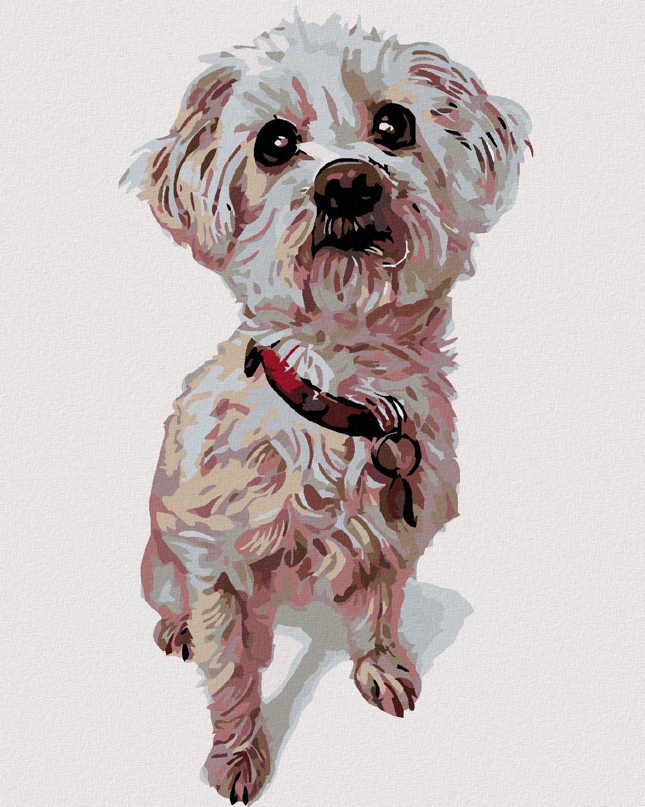 zuty Malování podle čísel - MALTÉZSKÝ PSÍK - Rozměr: 40x50 cm, Rámování: Varianta: bez rámu a bez vypnutí plátna - obrázek 1