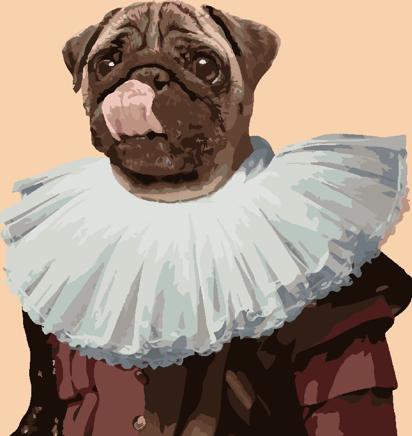zuty Malování podle čísel - KRÁLOVSKÝ PES - MOPS - Rozměr: 40x50 cm, Rámování: Varianta: vypnuté plátno na rám - obrázek 9