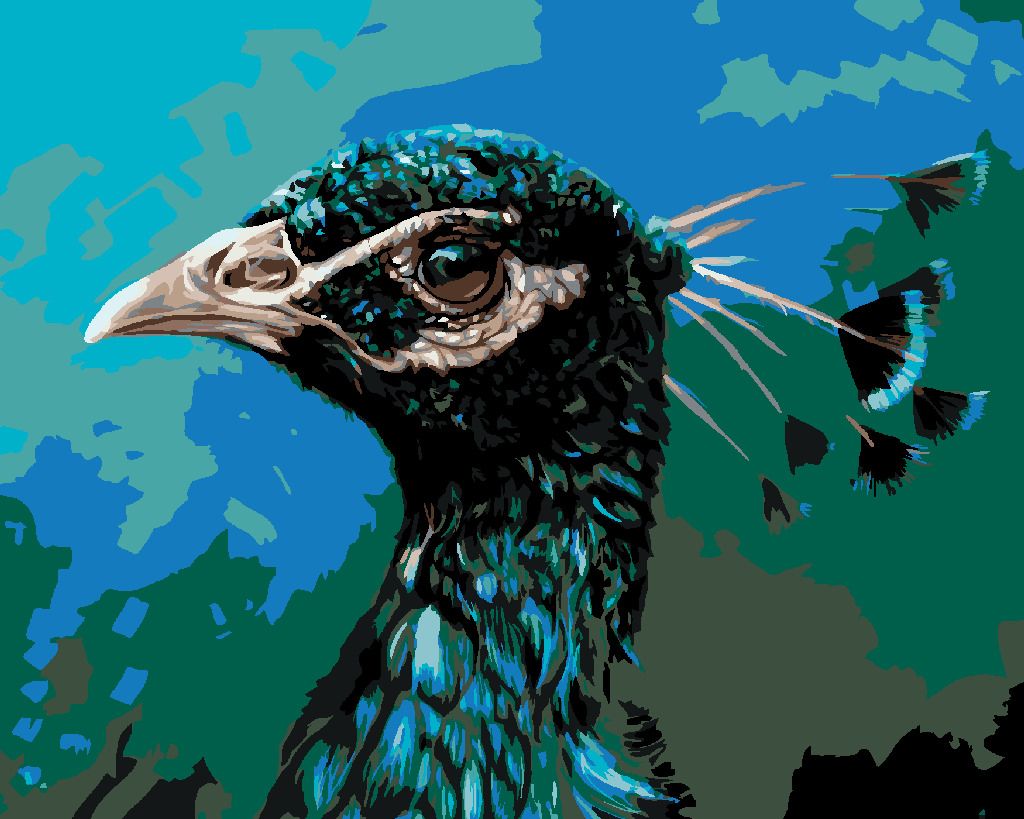 zuty Malování podle čísel - PAVÍ PROFIL - Rozměr: 40x50 cm, Rámování: Varianta: vypnuté plátno na rám - obrázek 9