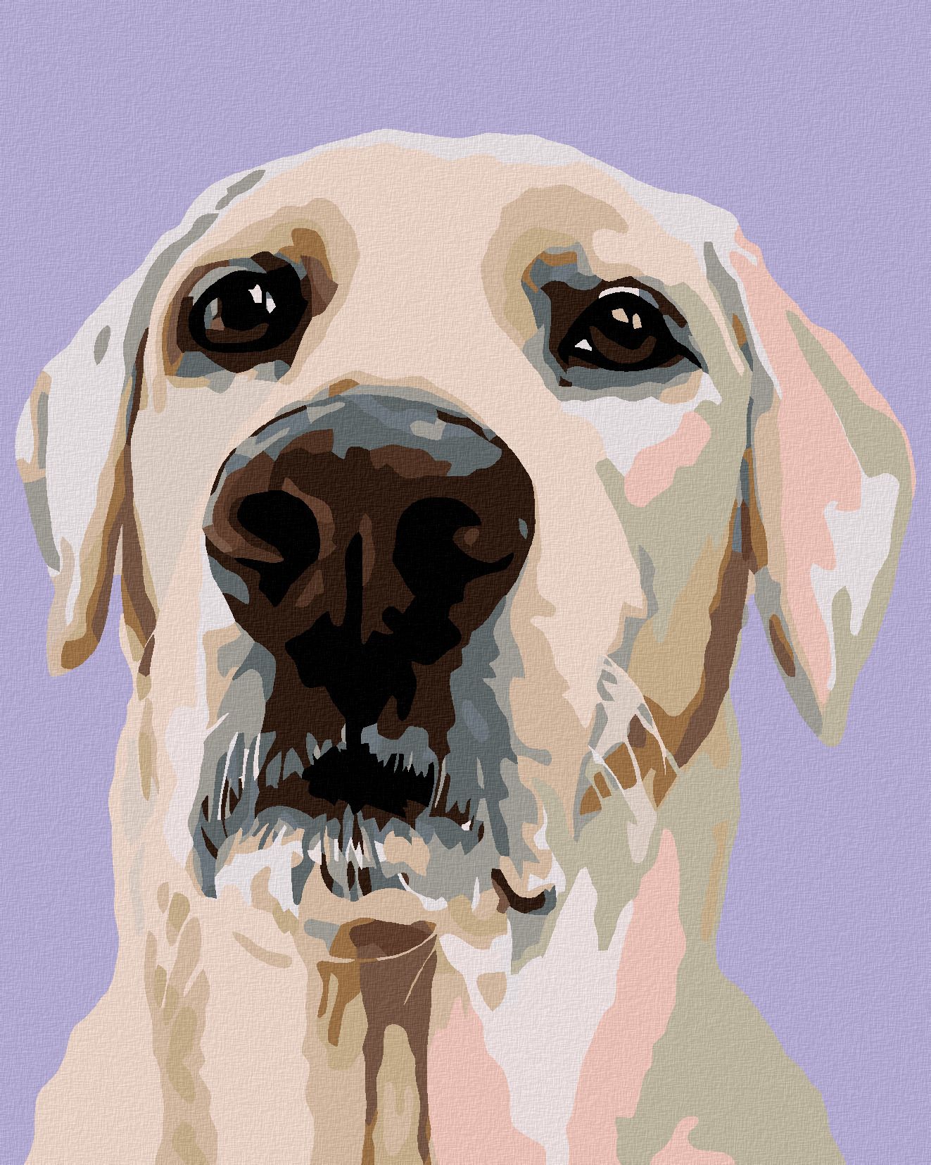 zuty Malování podle čísel - LABRADORSKÝ RETRÍVR - Rozměr: 40x50 cm, Rámování: Varianta: vypnuté plátno na rám - obrázek 1
