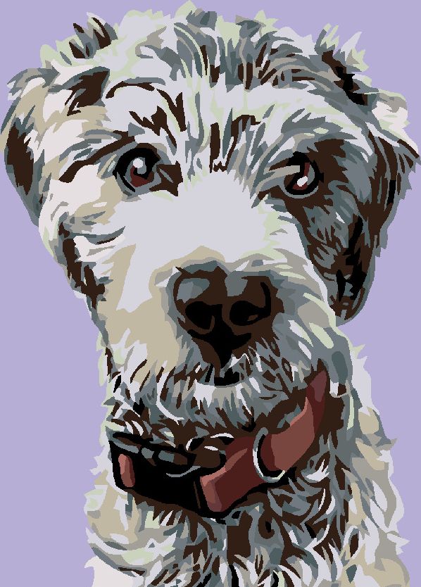 zuty Malování podle čísel - CHLUPÁČ S ČERVENÝM OBOJKEM - Rozměr: 40x50 cm, Rámování: Varianta: bez rámu a bez vypnutí plátna - obrázek 17