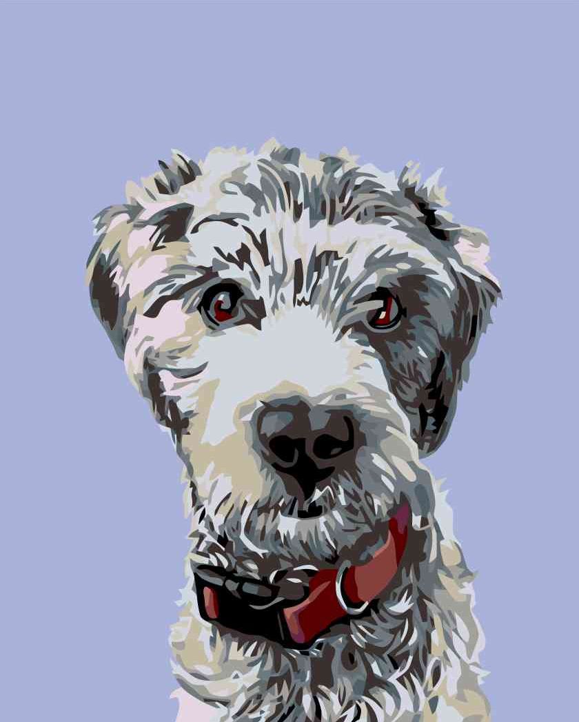 zuty Malování podle čísel - CHLUPÁČ S ČERVENÝM OBOJKEM - Rozměr: 40x50 cm, Rámování: Varianta: vypnuté plátno na rám - obrázek 3