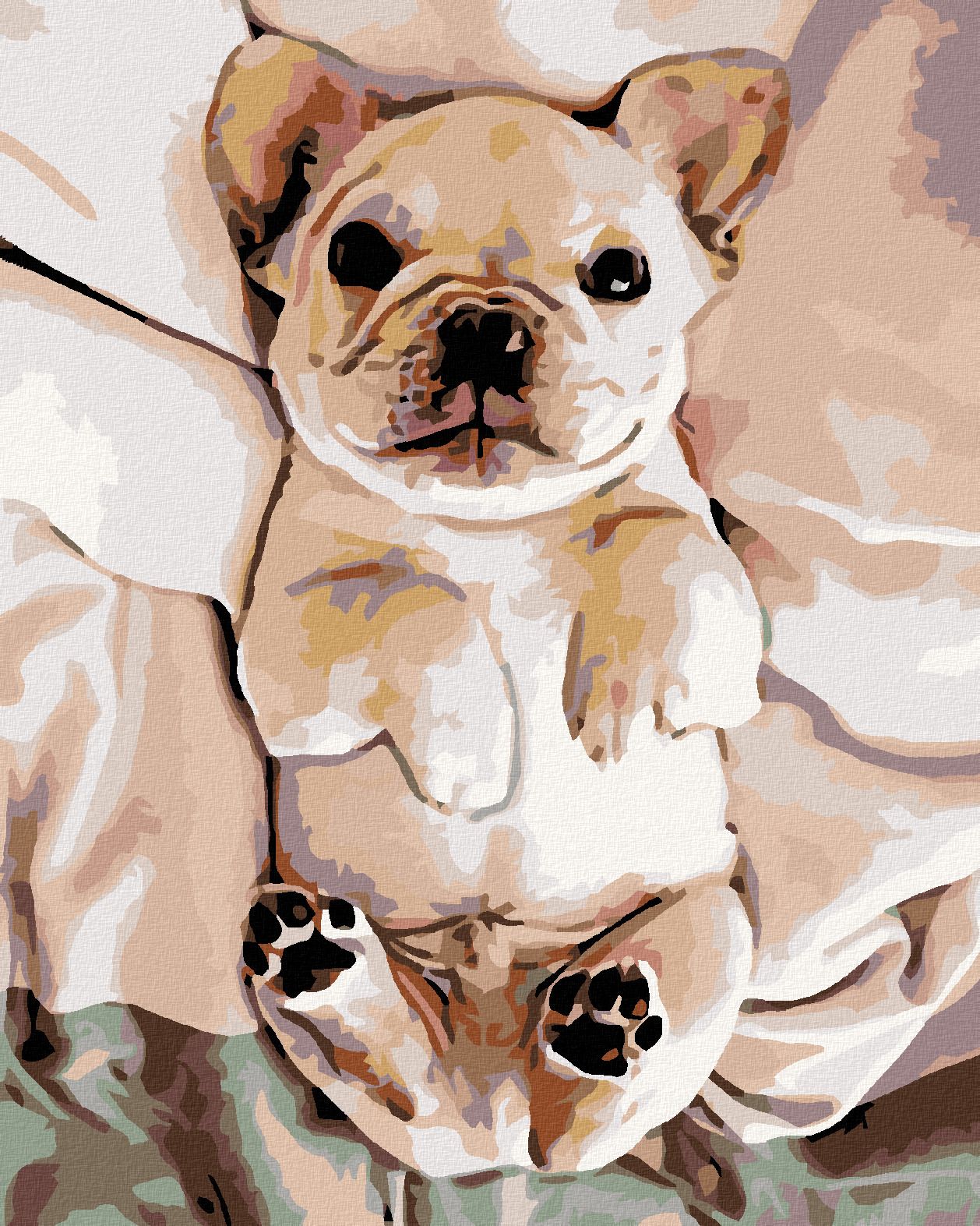 zuty Malování podle čísel - MALÉ ŠTĚNĚ BULDOČKA - Rozměr: 40x50 cm, Rámování: Varianta: vypnuté plátno na rám - obrázek 1