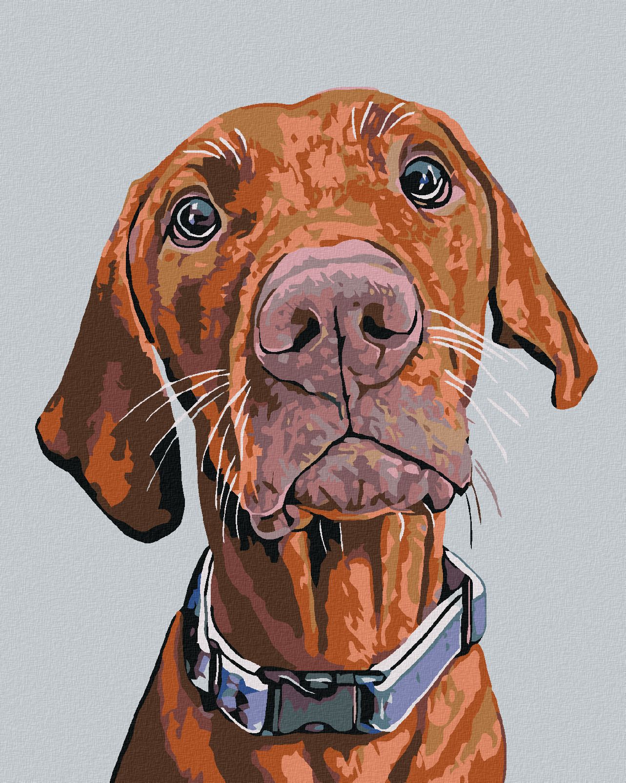 zuty Malování podle čísel - RIDGEBACK S MODRÝM OBOJKEM - Rozměr: 40x50 cm, Rámování: Varianta: vypnuté plátno na rám - obrázek 1