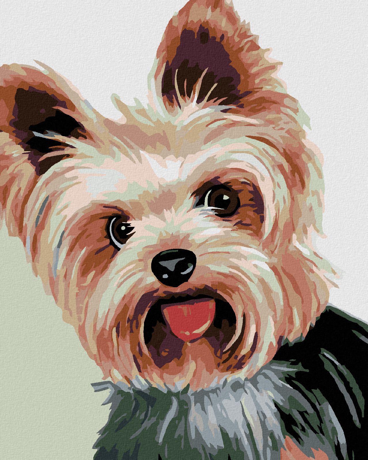 zuty Malování podle čísel - JORKŠÍREK II - Rozměr: 40x50 cm, Rámování: Varianta: vypnuté plátno na rám - obrázek 1