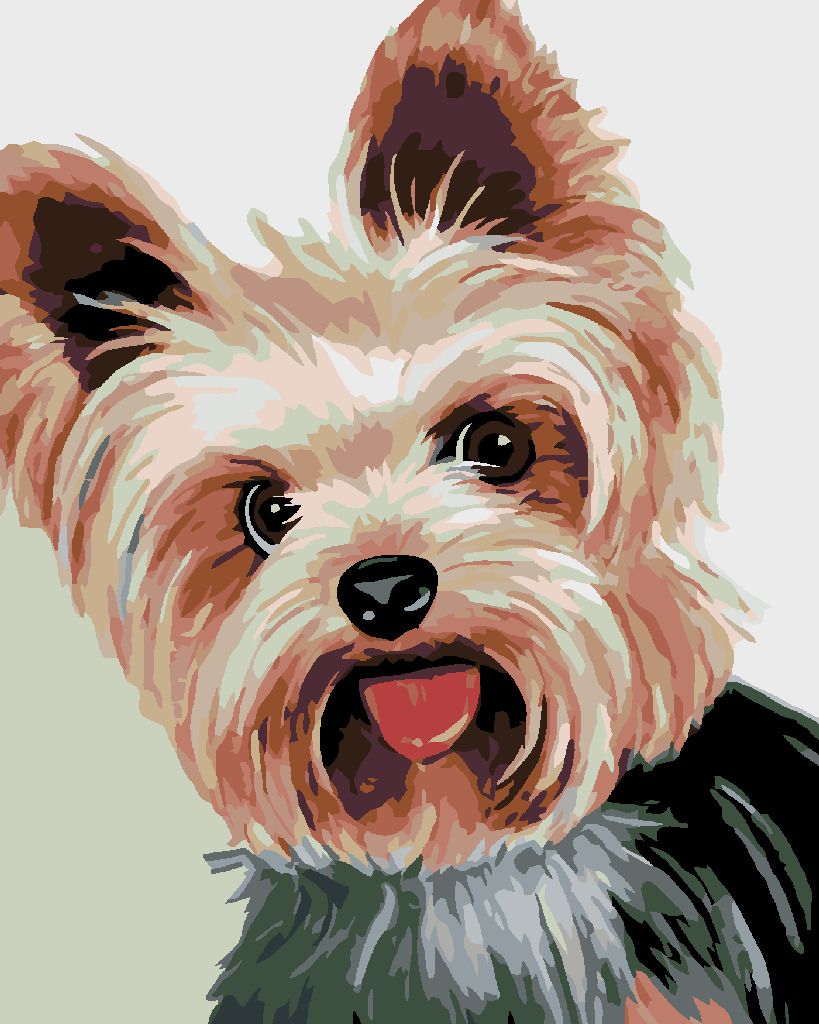 zuty Malování podle čísel - JORKŠÍREK II - Rozměr: 40x50 cm, Rámování: Varianta: vypnuté plátno na rám - obrázek 3