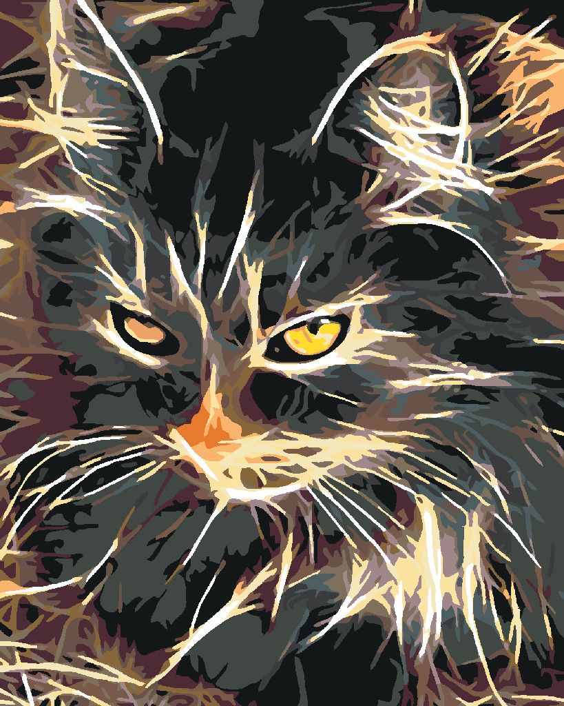 zuty Malování podle čísel - NÁDHERNĚ DVOUBAREVNÁ KOČKA - Rozměr: 40x50 cm, Rámování: Varianta: vypnuté plátno na rám - obrázek 5