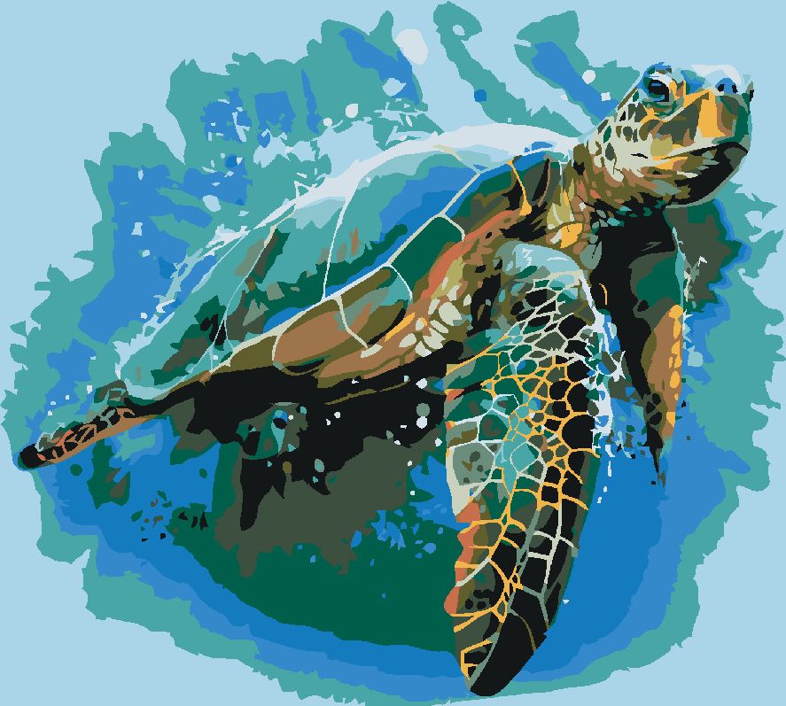 zuty Malování podle čísel - KARETA OBROVSKÁ - Rozměr: 40x50 cm, Rámování: Varianta: bez rámu a bez vypnutí plátna - obrázek 8