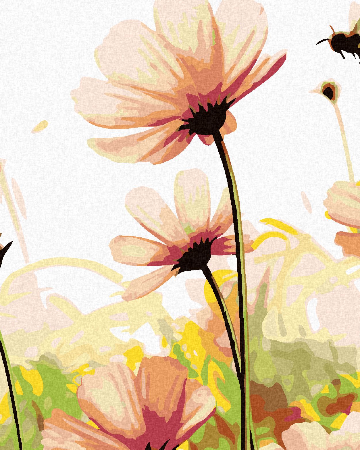 zuty Malování podle čísel - KVĚTY NA LOUCE - Rozměr: 40x50 cm, Rámování: Varianta: vypnuté plátno na rám - obrázek 1