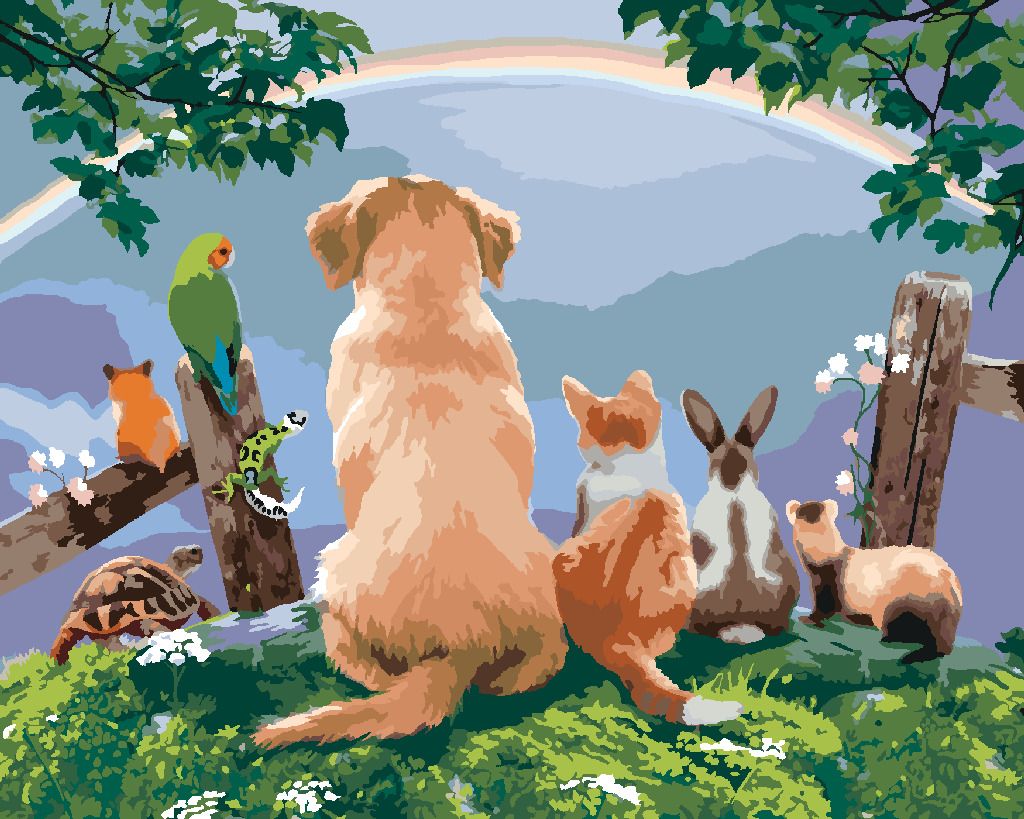 zuty Malování podle čísel - ZVÍŘATA A DUHA V DÁLI (HOWARD ROBINSON) - Rozměr: 40x50 cm, Rámování: Varianta: vypnuté plátno na rám - obrázek 5