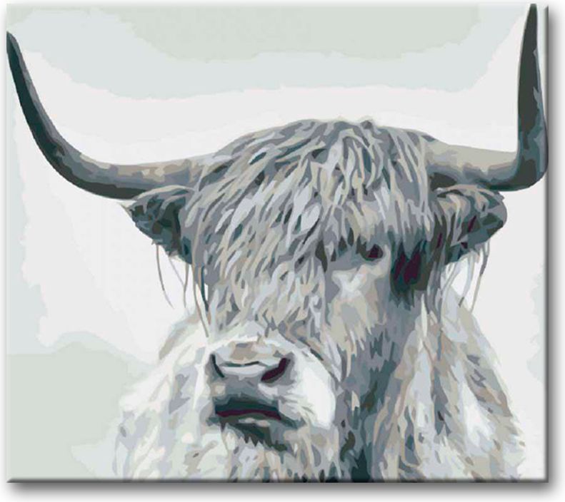 zuty Malování podle čísel - ČERNOBÍLÝ BUVOL PŘÍMÝ POHLED - Rozměr: 40x50 cm, Rámování: Varianta: vypnuté plátno na rám - obrázek 12